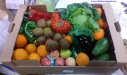 fruta y verdura ecologica brotes organic