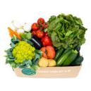 fruta y verdura ecologica brotes organic